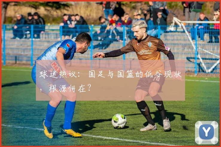 球迷热议:国足与国篮的低谷现状,根源何在?